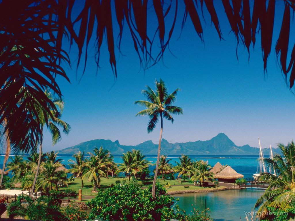 Moorea Island, Tahiti